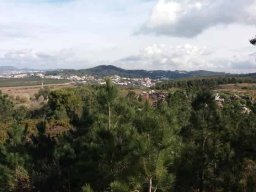 2019-02-09  COMANDOS